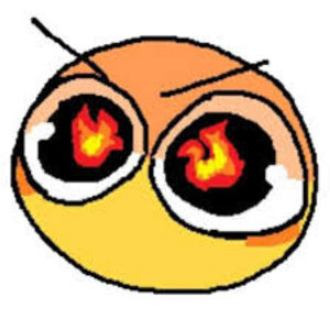 Meet your Posher, Kaylen